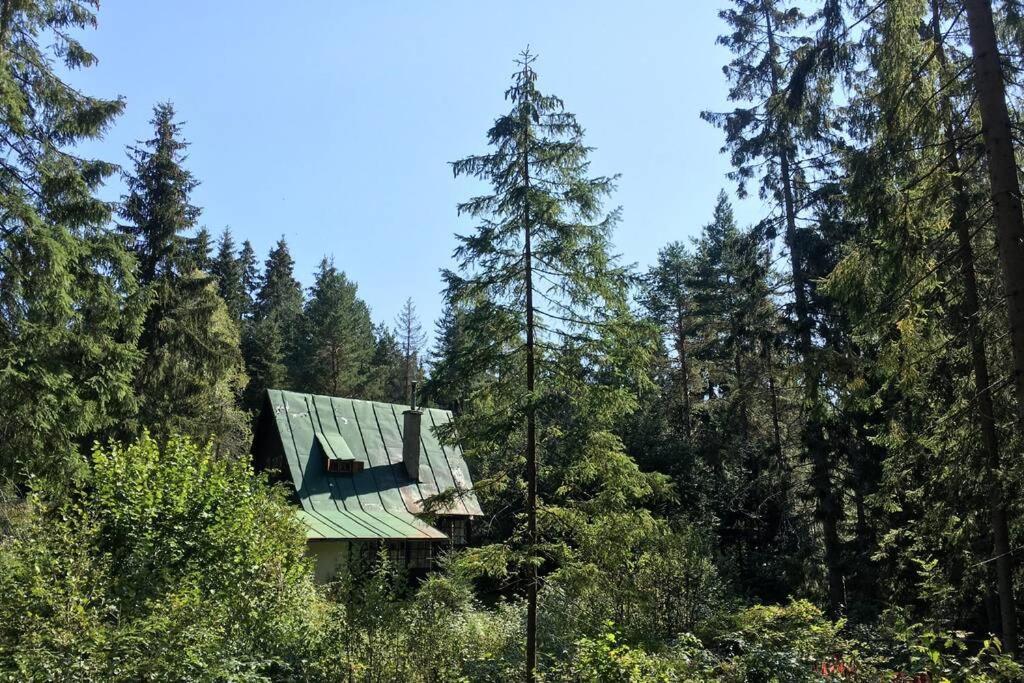 Enchanted Forest Chalet Tatranská Štrba Exterior foto