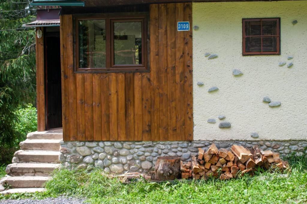 Enchanted Forest Chalet Tatranská Štrba Exterior foto