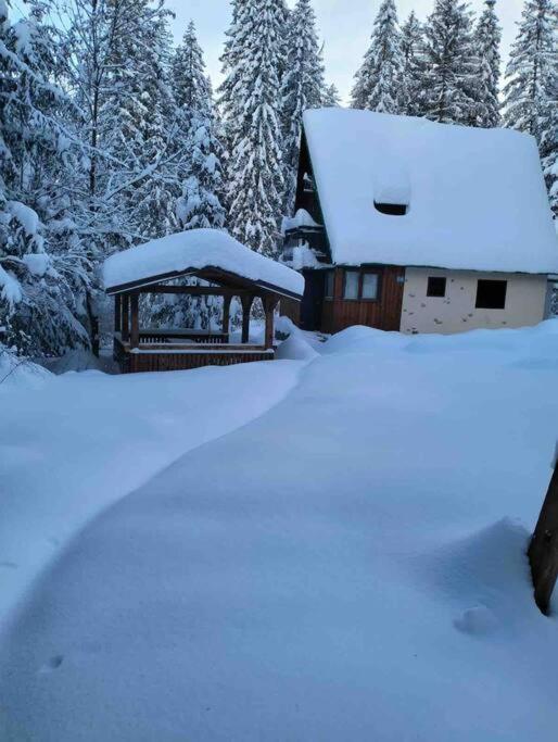 Enchanted Forest Chalet Tatranská Štrba Exterior foto