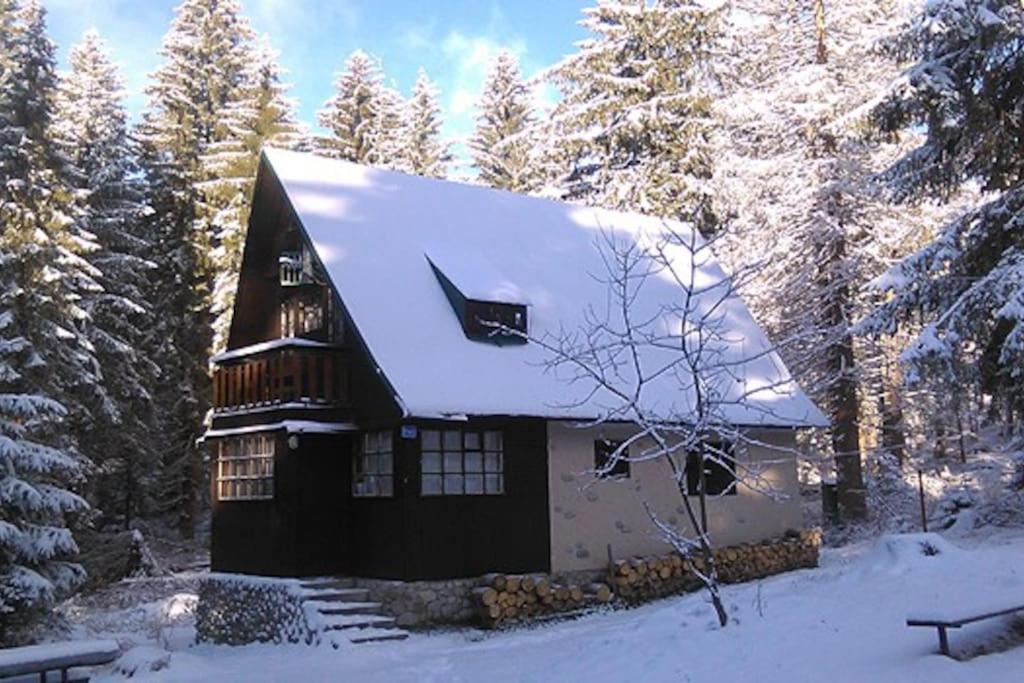 Enchanted Forest Chalet Tatranská Štrba Exterior foto